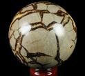 Polished Septarian Sphere - lbs #79330-1